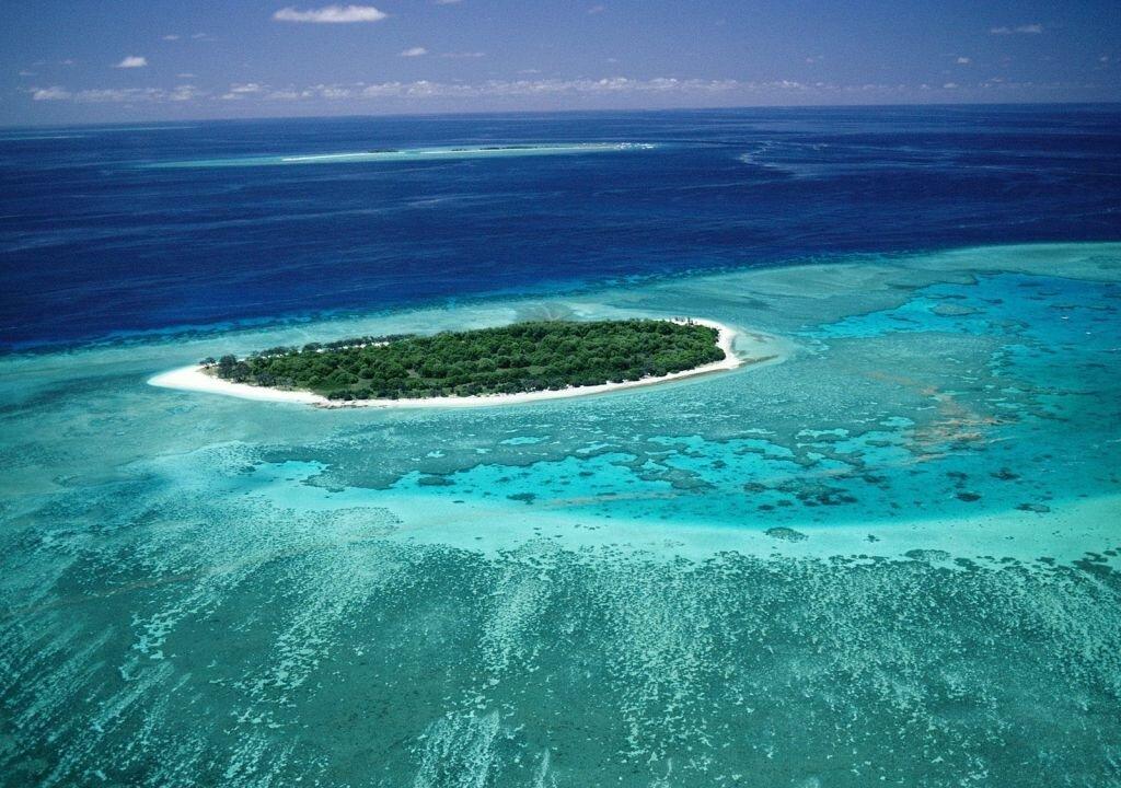 UNESCO Still Concerned About Great Barrier Reef, but Remains Off Danger List