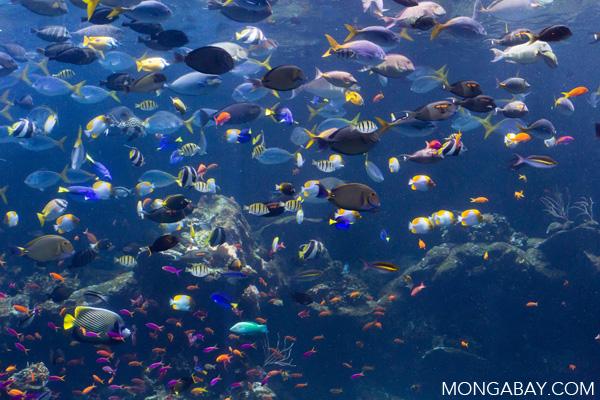 Ocean Contributes $2.5 Trillion to Economy Annually