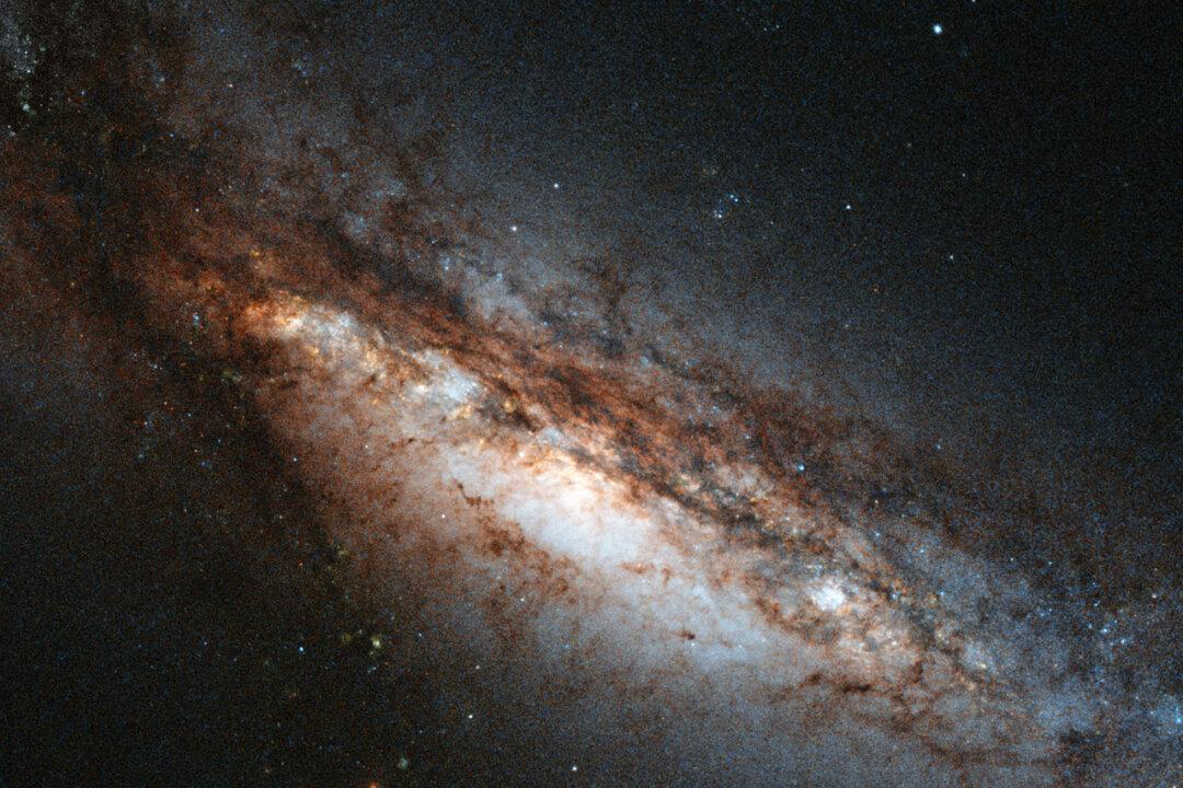 Astronomers Watch Black Hole Burst Back to Life