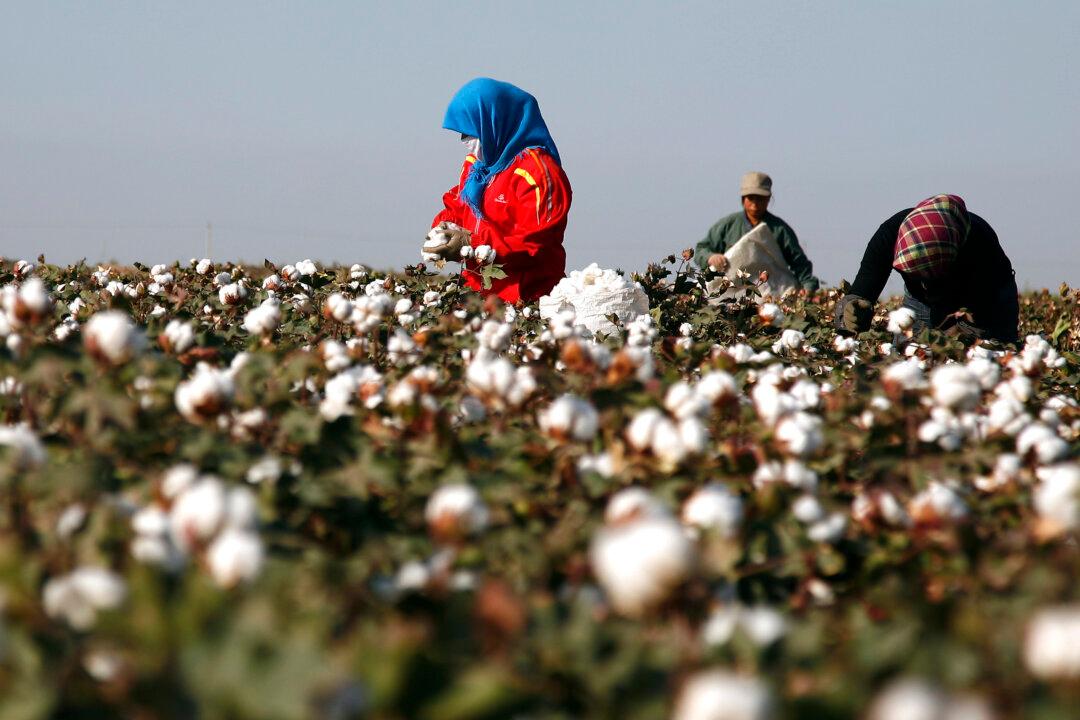 China-US Tensions Intensify: US Bill Targets Beijing Over Uyghur Forced Labor