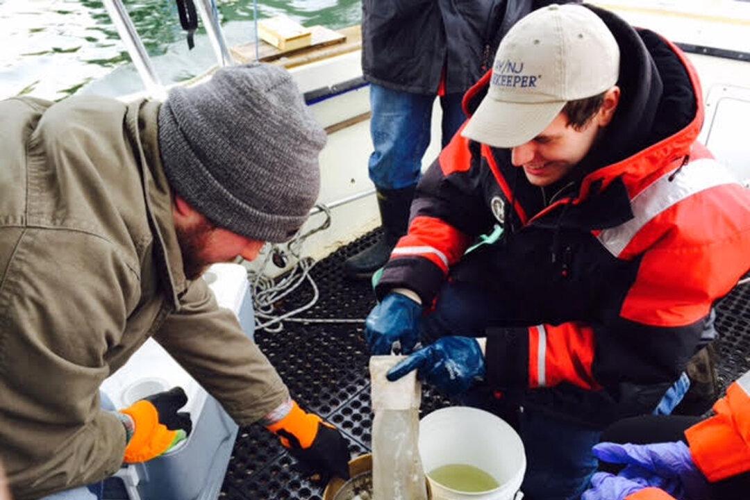 NYC Waters Are Teeming With Plastic Particles, Study Finds