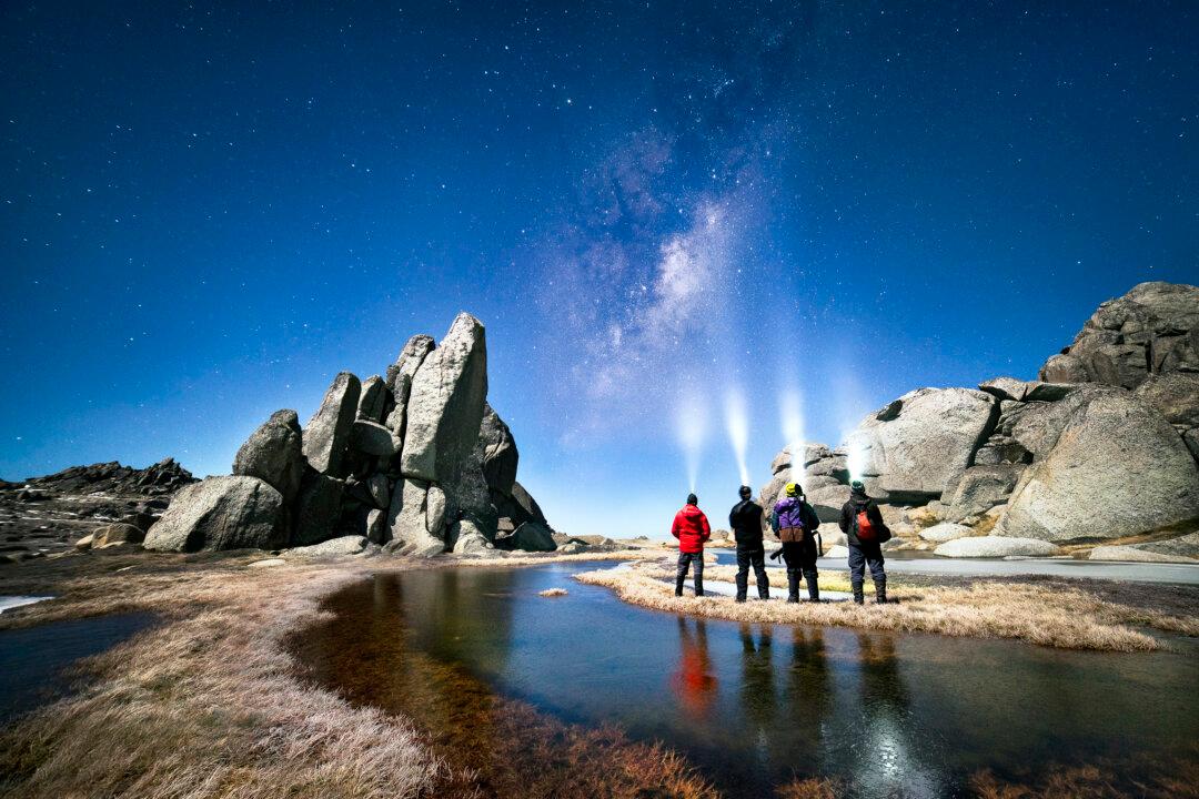 Earth Hour: Community Action Key