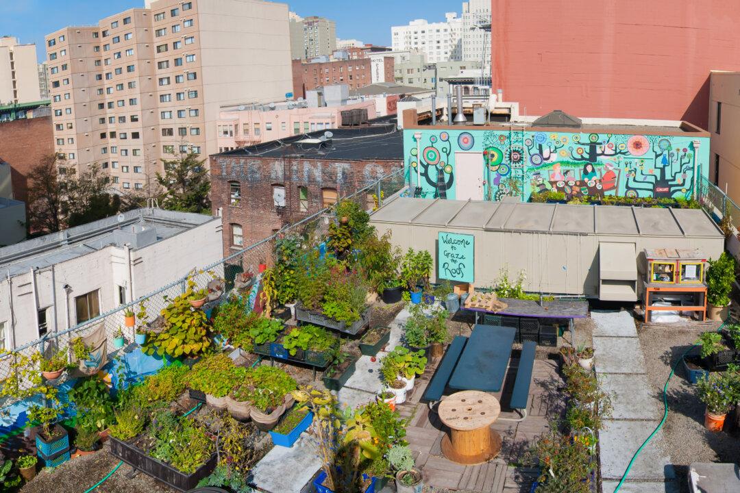 How Much Food Can Cities Produce?