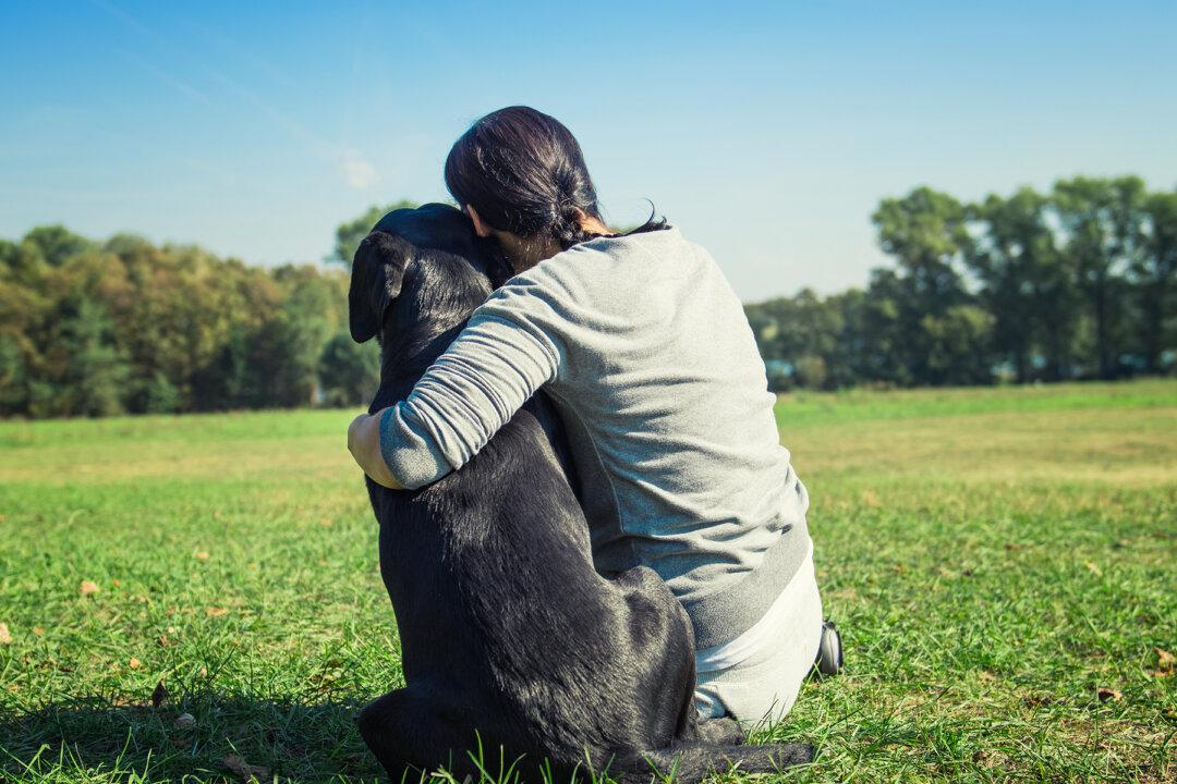 Dog Lover Holds Sign for Hours on Street Corner Just to Find Lost Labrador’s Owner