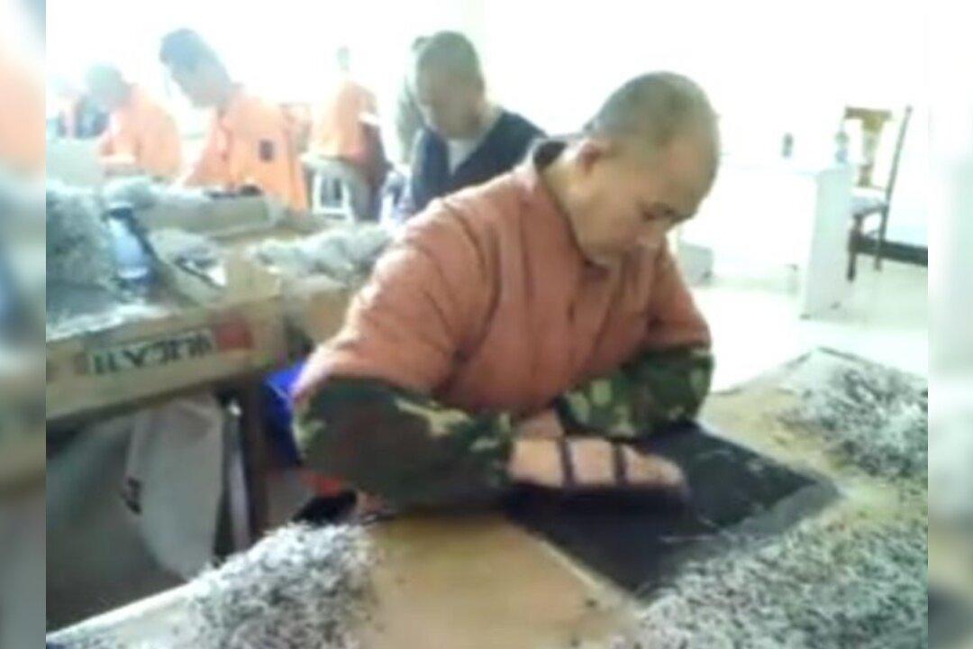 Secretly Recorded Footage Shows Slave Labor, Effects of Torture in Chinese Labor Camp