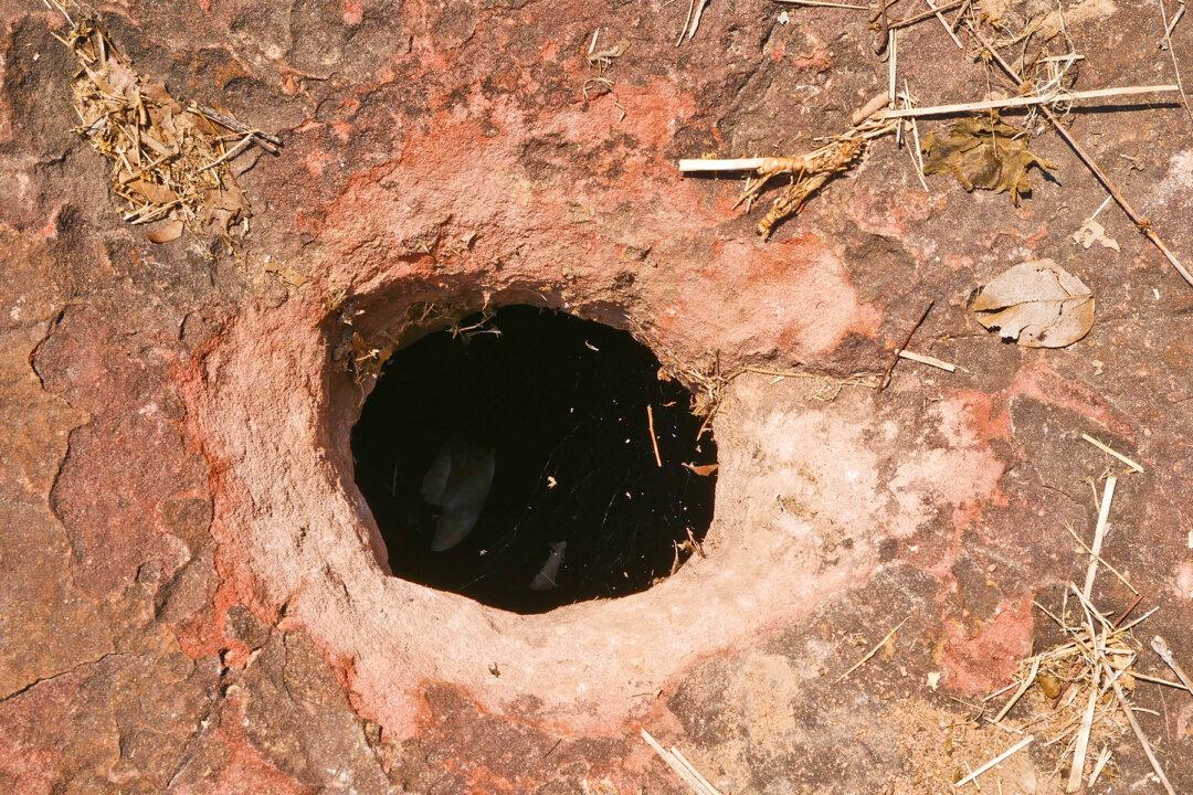 Curious Teens Shift Odd Sign to Reveal a Hole Underneath, Then a Pair of Eyes Looks Up