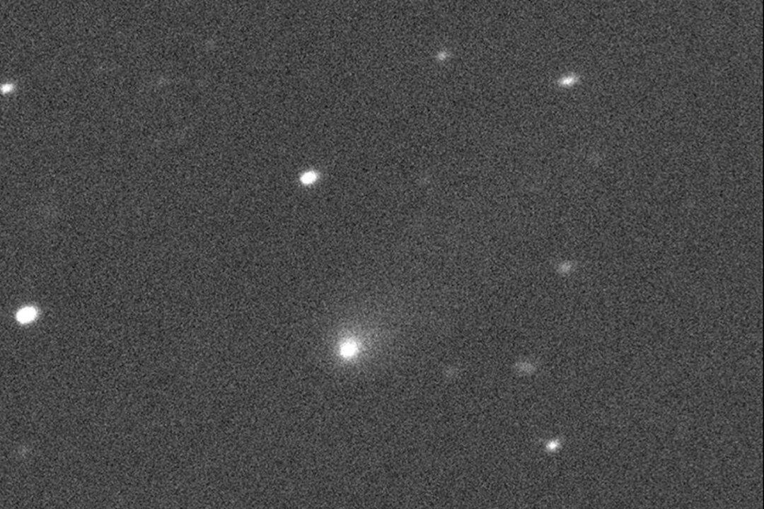 Newfound Comet Likely an ‘Interstellar Visitor,’ Scientists Say