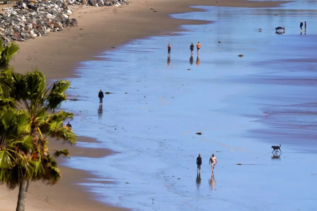 Health Officials Warn of High Bacteria Levels at Los Angeles Beaches