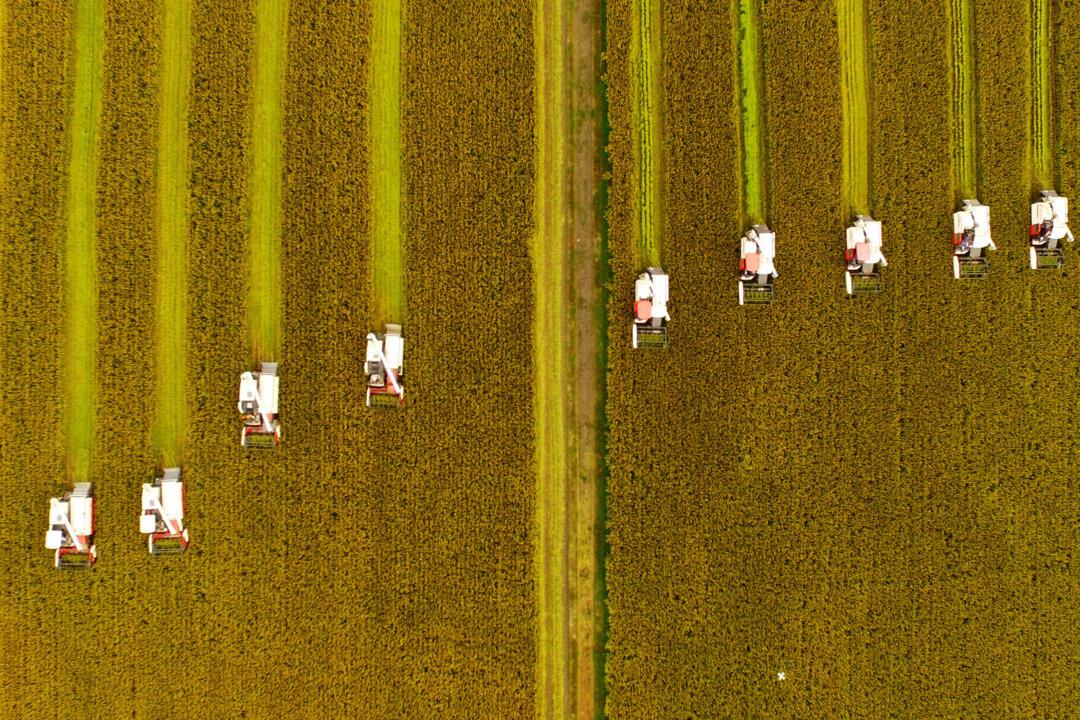 China’s Official Food Reserves Data Called Into Question