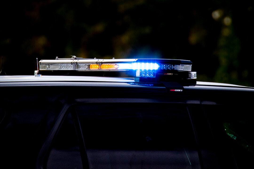 2 Brothers Arrested for Stealing Purse, Beating Woman in Costco Parking Lot