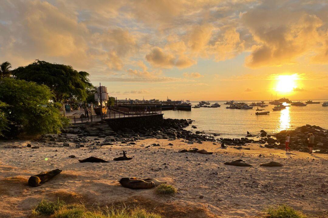 Trip of a Lifetime: How to Visit the Galápagos