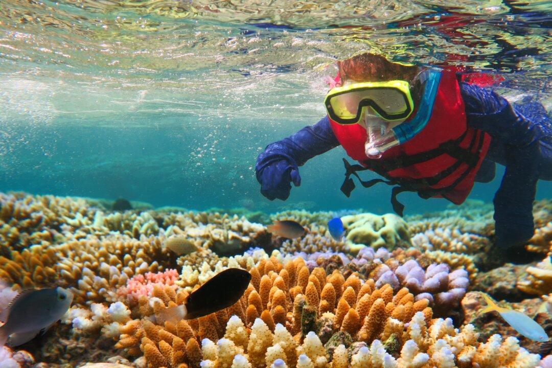 Tourist Tax Proposed for Queensland, Australia