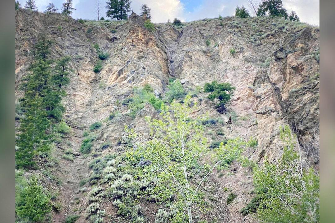 Can You Spot the Lost Dog Trapped on This Mountainous Cliffside in Idaho?