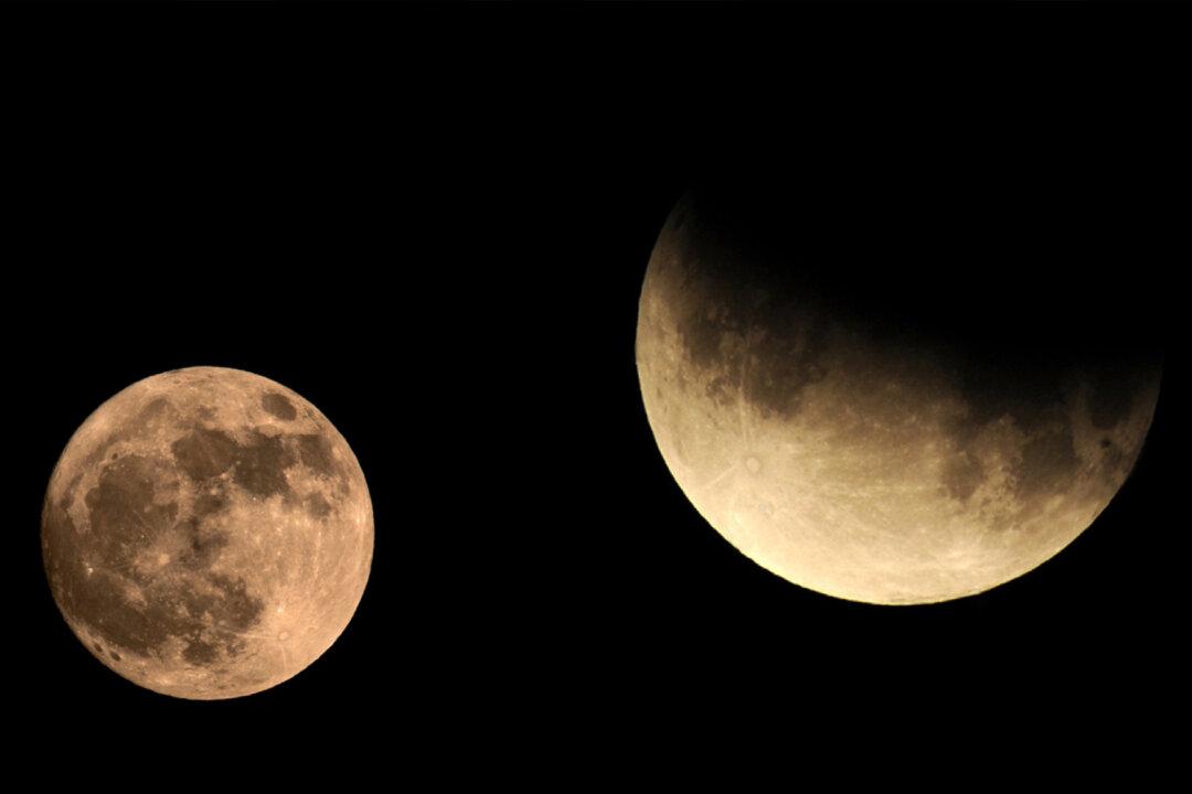 The ‘Full Beaver Moon’ in November Aligns With the Longest Lunar Eclipse of the Century