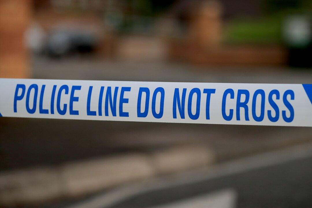 10-Year-Old Boy Killed by Dog in South Wales
