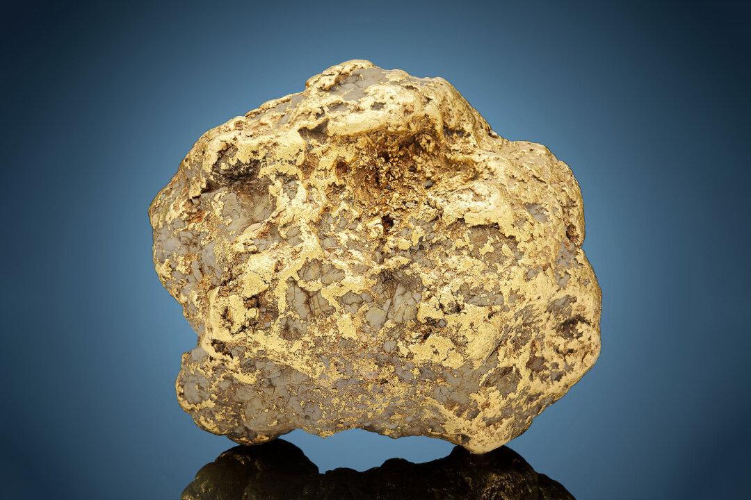 Largest Gold Nugget Found in Alaska Weighs 20 Pounds—to Fetch $700,000 to 1.2 Million at Auction