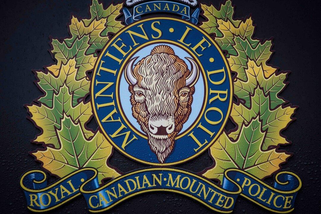 Time to Review How RCMP Can Best Serve Communities, Union Head Says