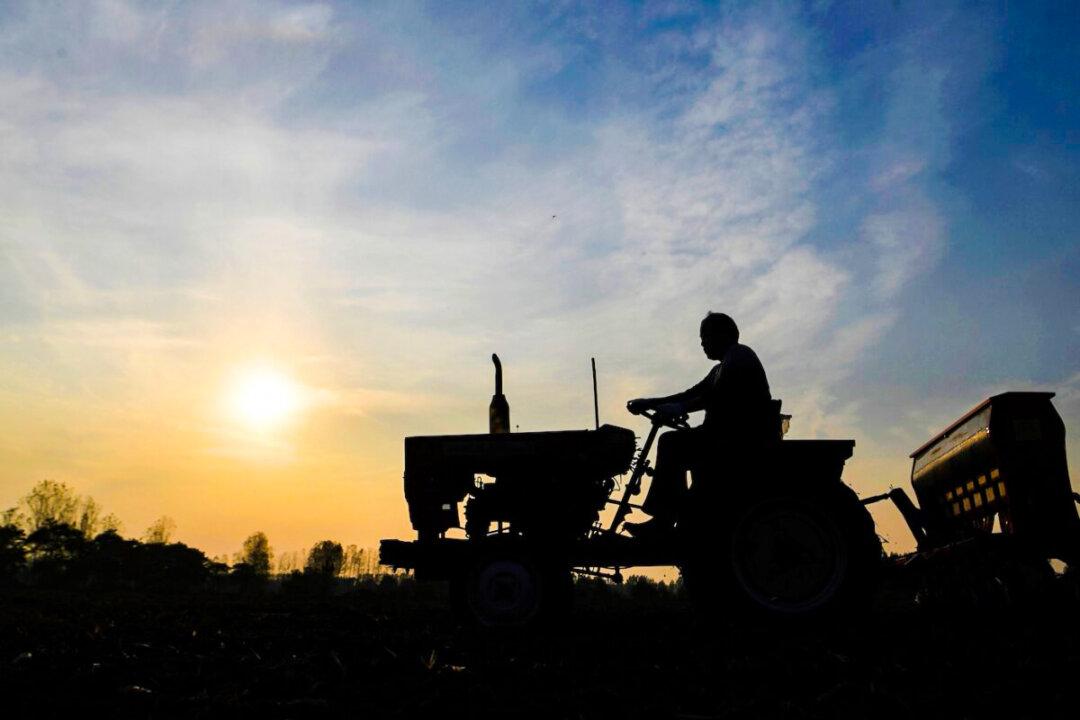 Food Shortages Loom in China as Farmers Face Lockdown Woes