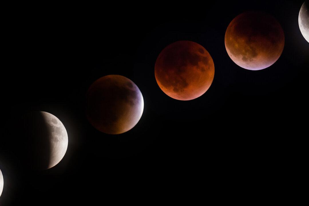 Total Eclipse of the Super Moon to Grace the Heavens Mid-May, 2022—Here’s What You Need to Know