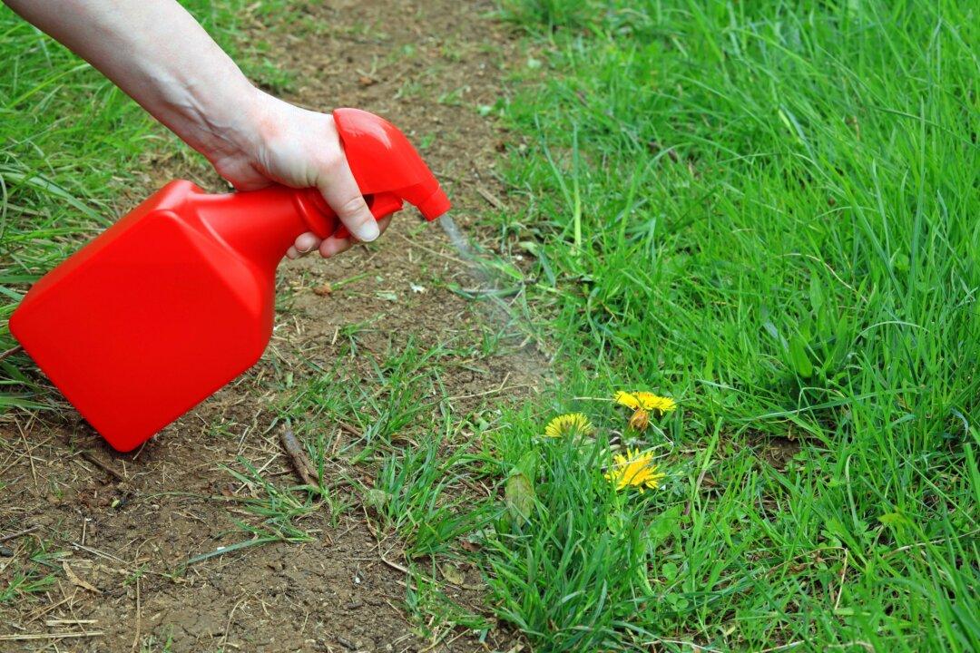 5 Nontoxic Methods for Killing Weeds That Really Work
