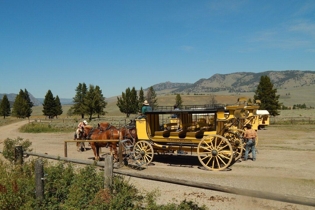 Relive History Through This Five-Day Stagecoach Tour of Yellowstone’s Iconic Hotels and Geological Features