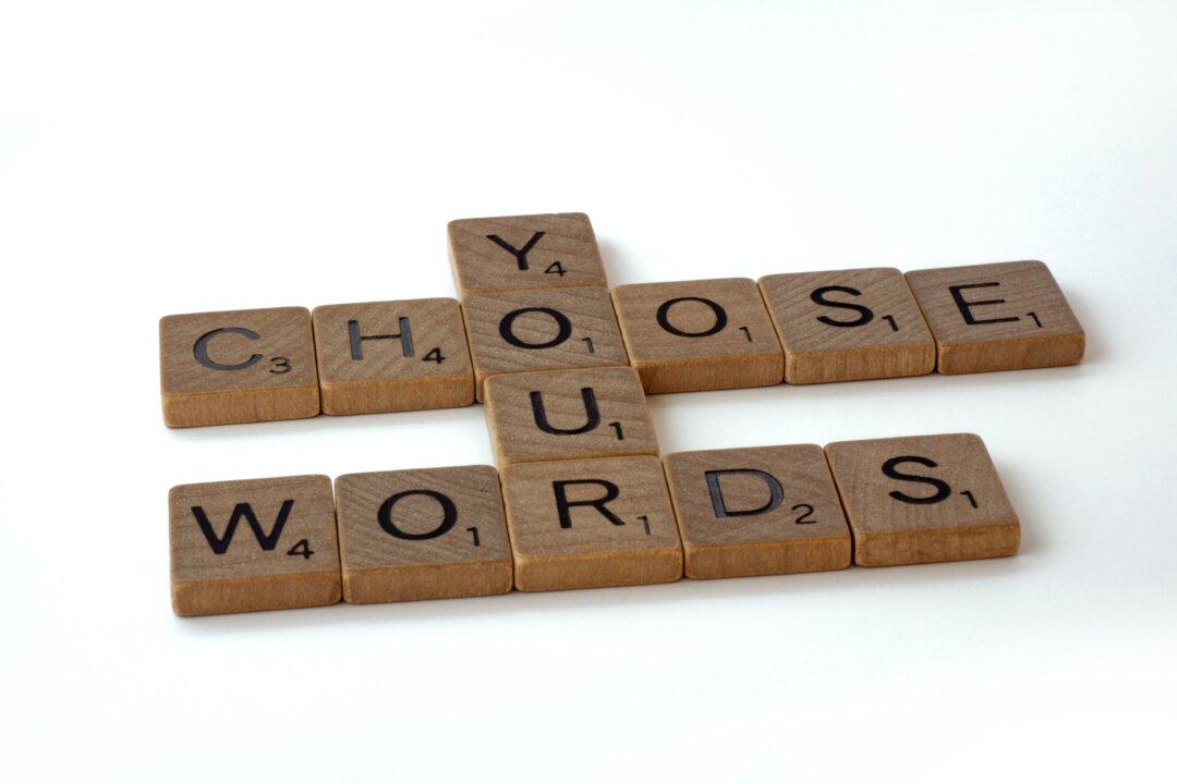 The Language Vandals