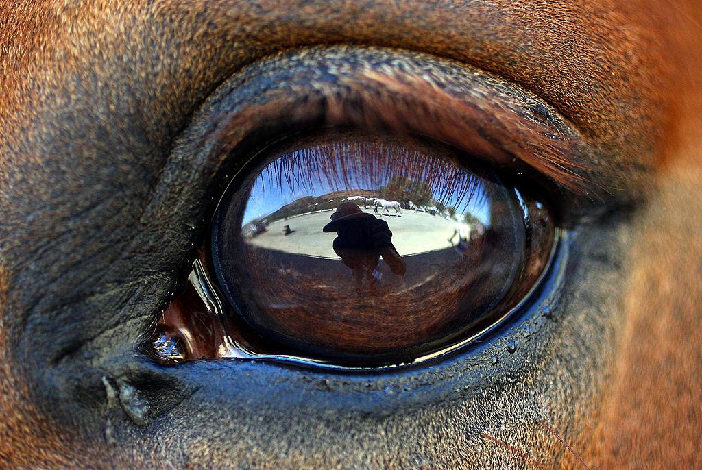 8 Things to Do in Orange County This Weekend