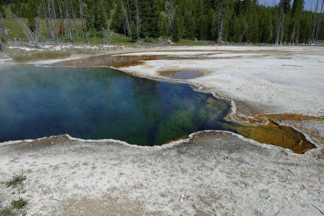 Part of a Foot, in a Shoe, Spotted in Yellowstone Hot Spring