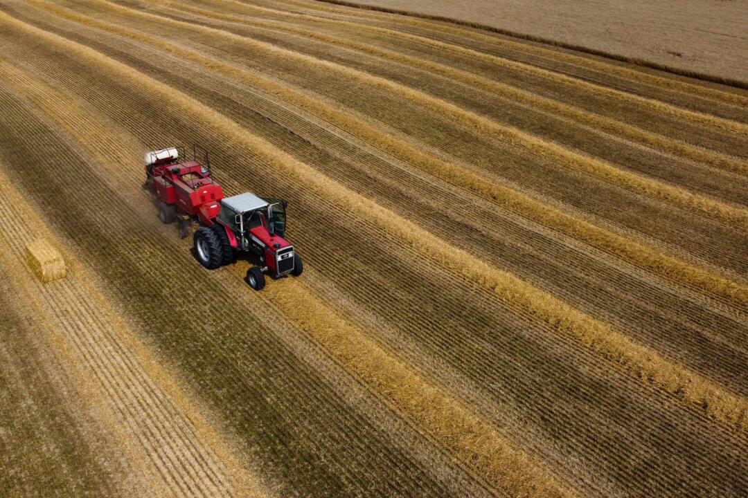 Ontario Farmer Organization Calls on Government to Drop Fertilizer Tariffs