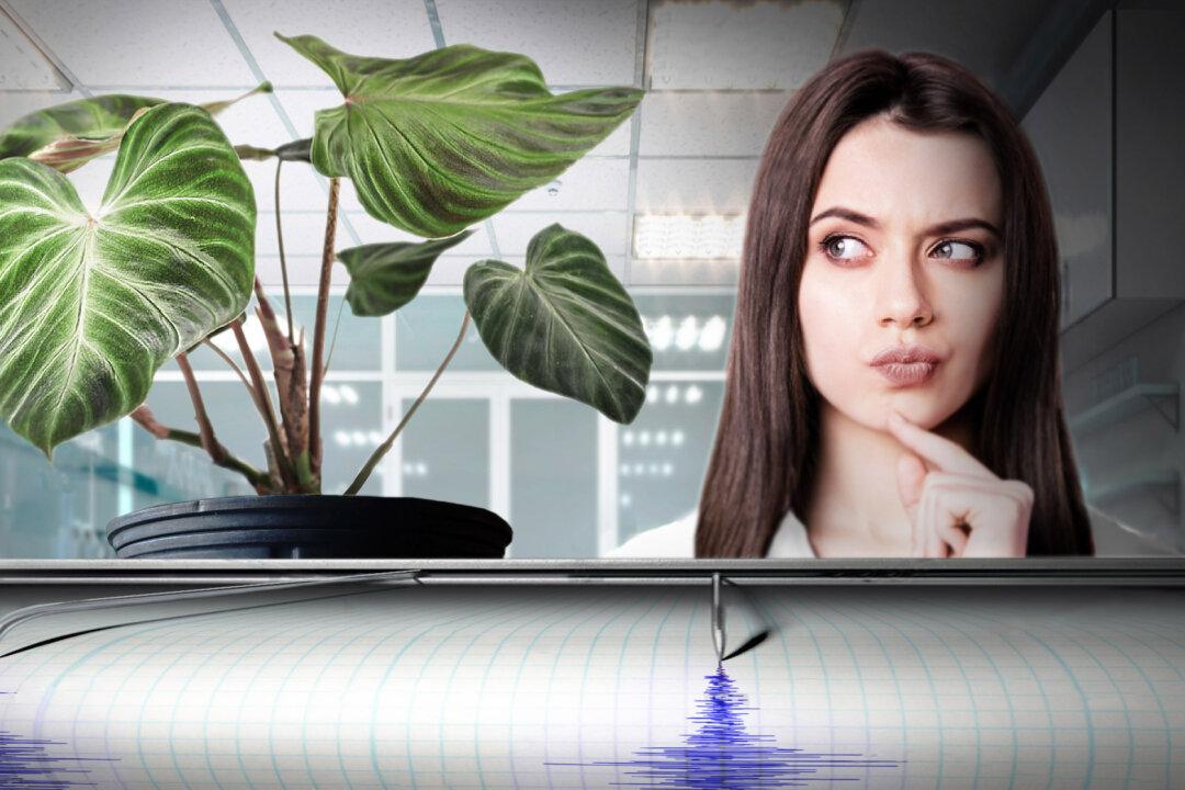 Lie Detectorist Reveals Plants Have Senses, Can Read Minds—And Quantum Entanglement Could Explain How