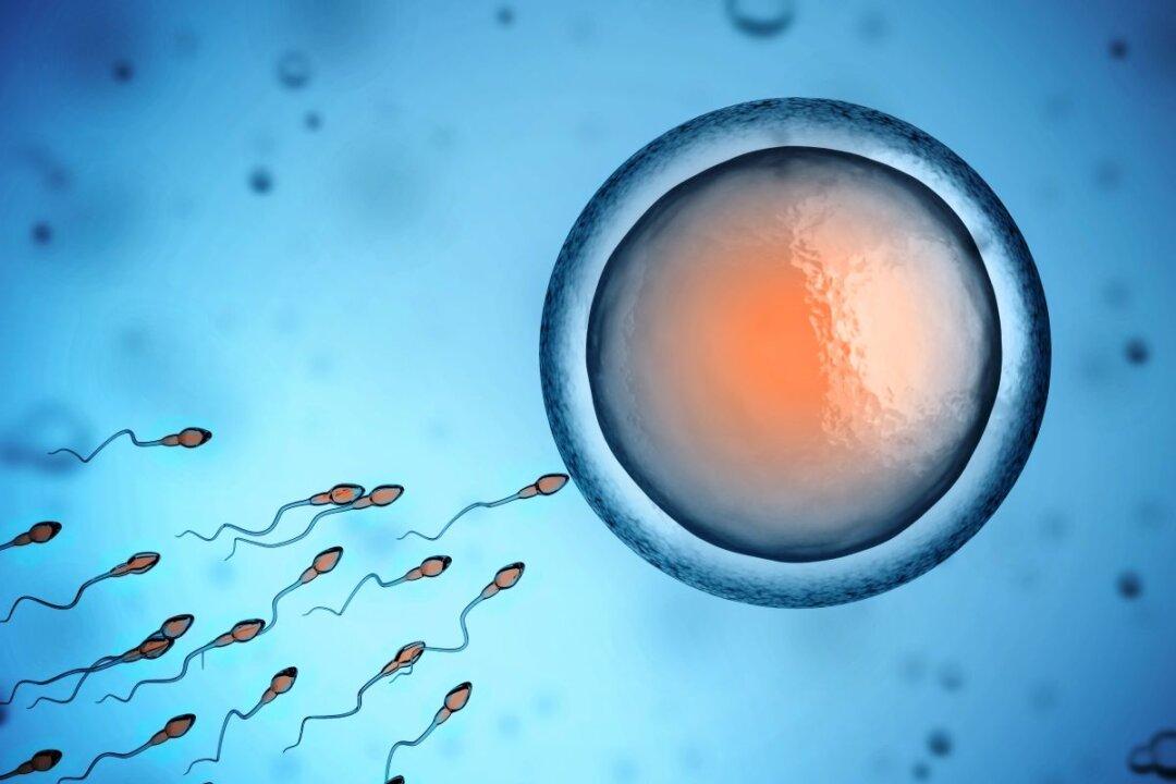 Sperm Quality Found to Be Indicator of Overall Health: Research