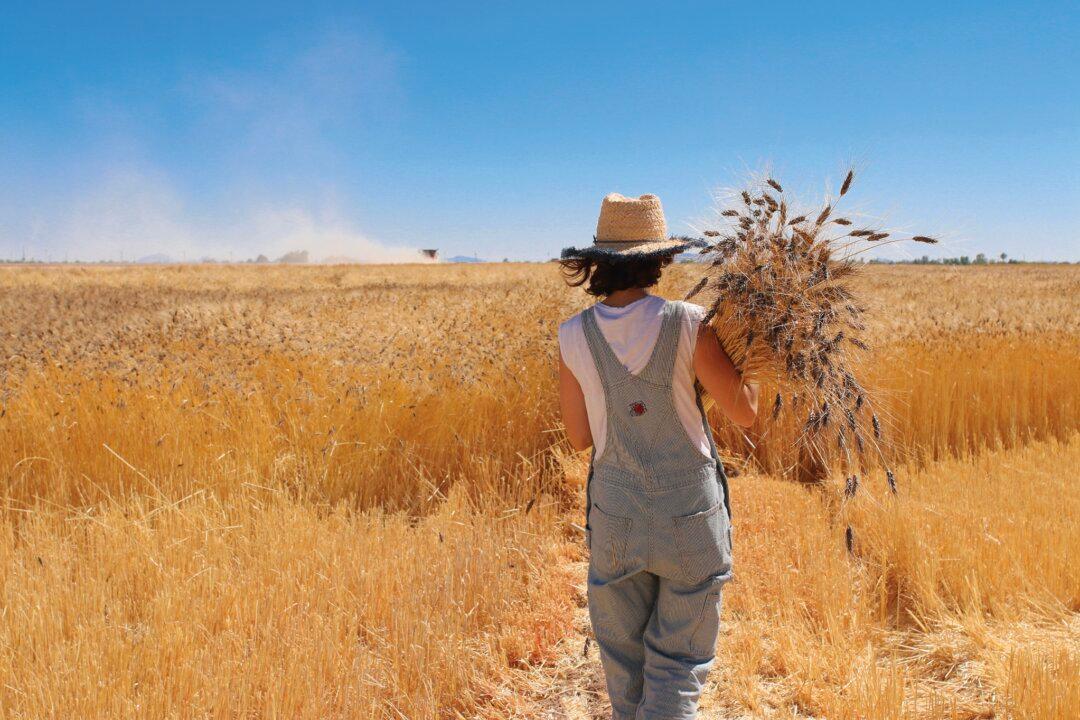 Science Looks to Artificial Intelligence to Assist in Speed Breeding