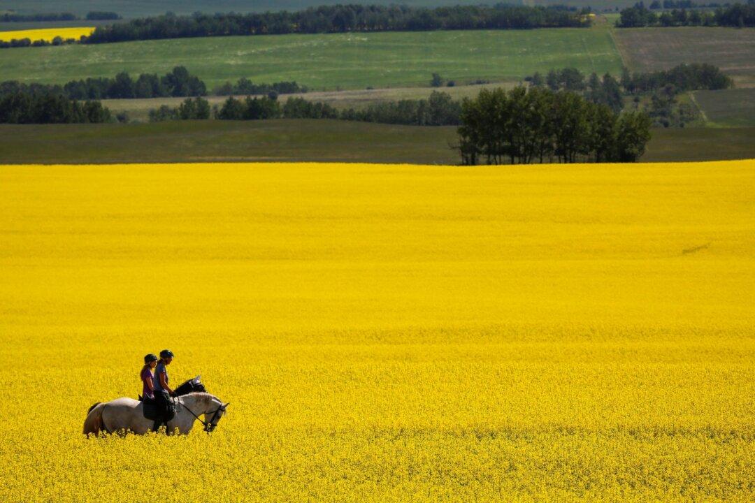 Preston Manning on the Future of Canada