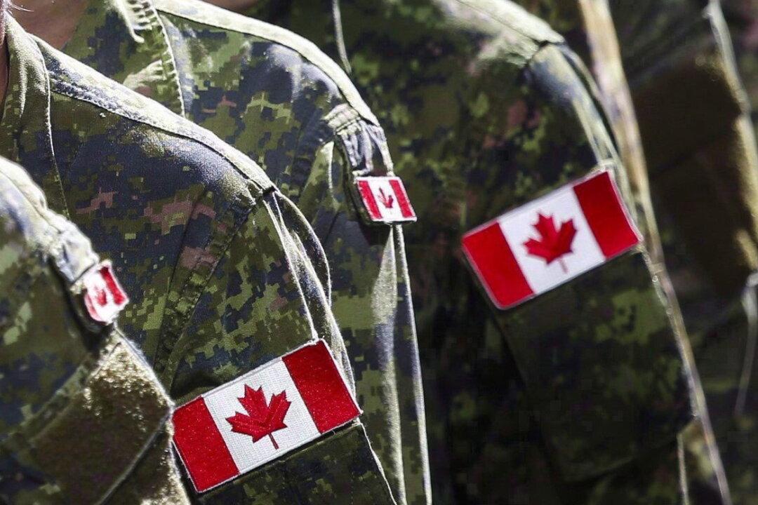 Ottawa Spent $9.5M on Military Diversity Programs Since 2015: Document