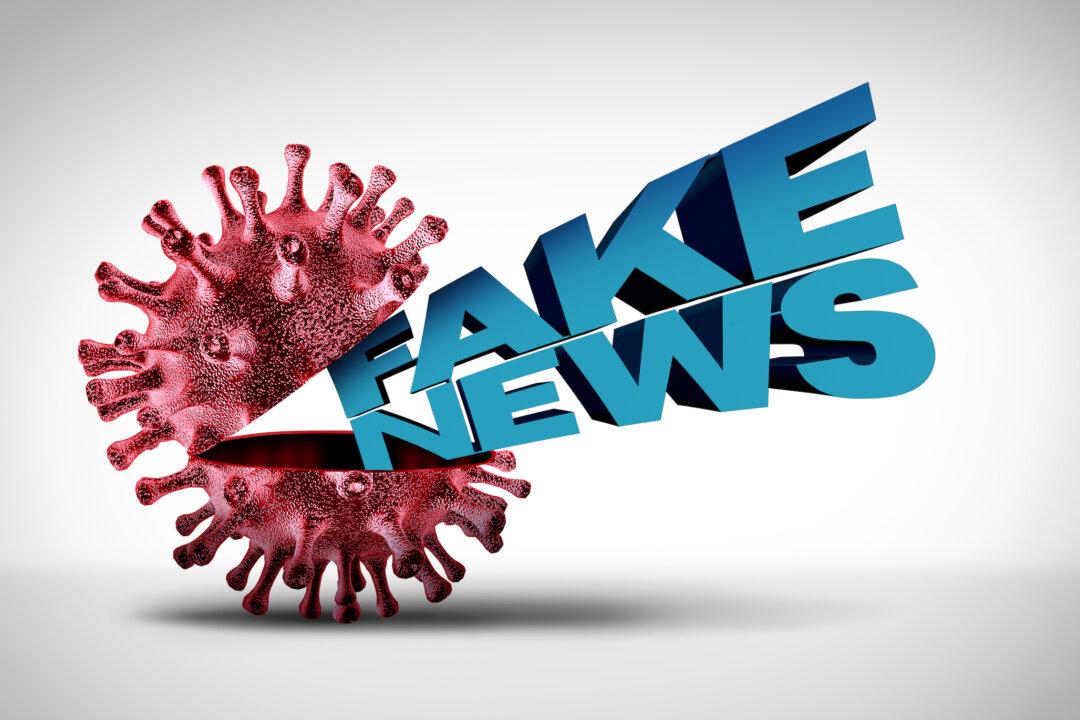 Insightful Details Behind the Misinformation Epidemic