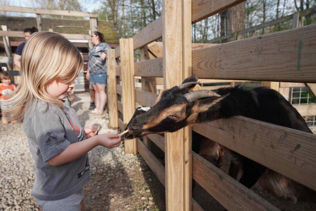 Kid-Friendly Activities and Travel Ideas for Families in Ohio