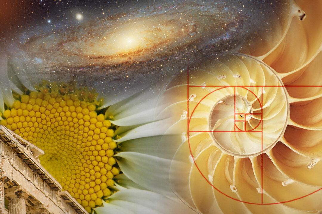 Ancient Architects Used This ‘Divine’ Math Ratio to Inject Natural Beauty Into Man’s Creations—Here’s How It Works