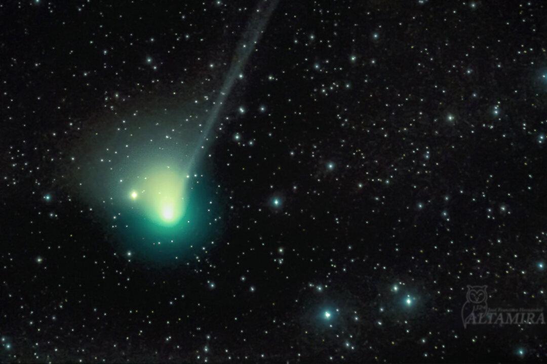 Comet Set to Graze by Earth for First Time in 50,000 Years Might Be Visible With the Naked Eye