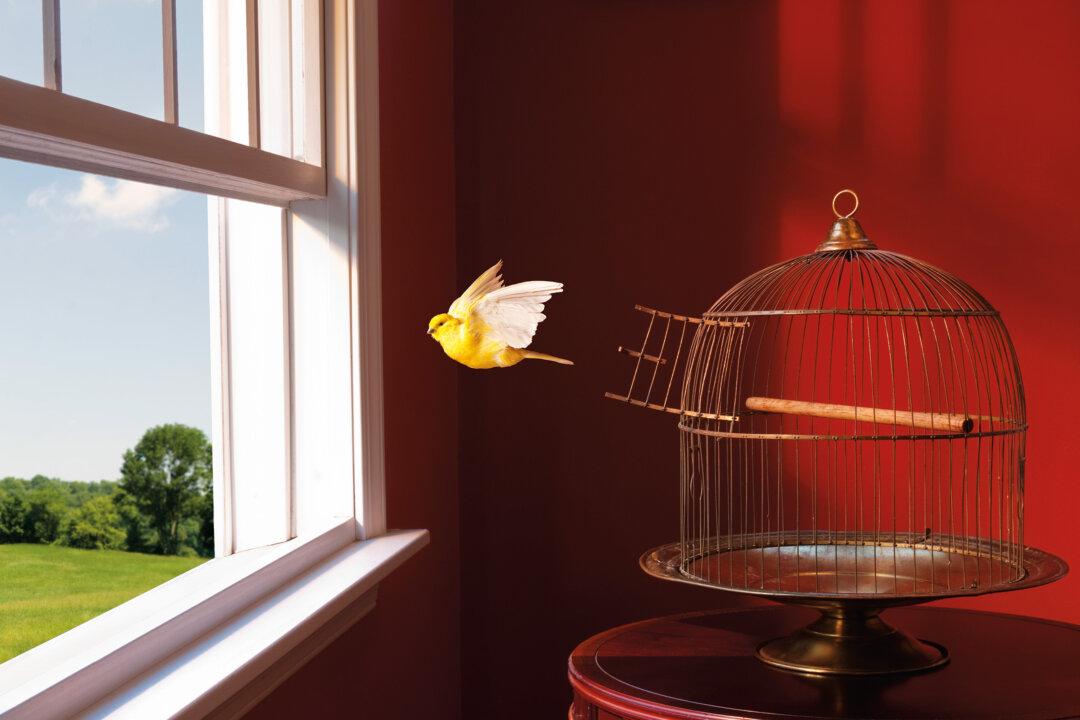 Paranormal Is Perfectly Normal: Give Your Innate Instinct a Chance