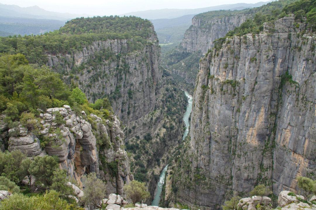 The Big DEI Gulf on Campus: It’s Much More Than He Said/Ze Said