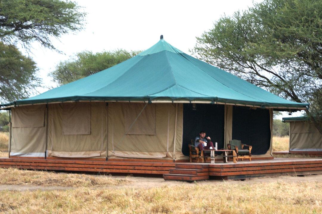 Honeyguide Camp Is an Oasis of Luxury in the African Wilderness