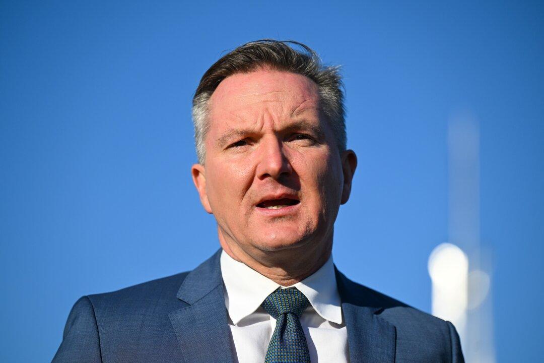 Australian Climate Minister Says Transition to Nuclear to Cost $387 Billion