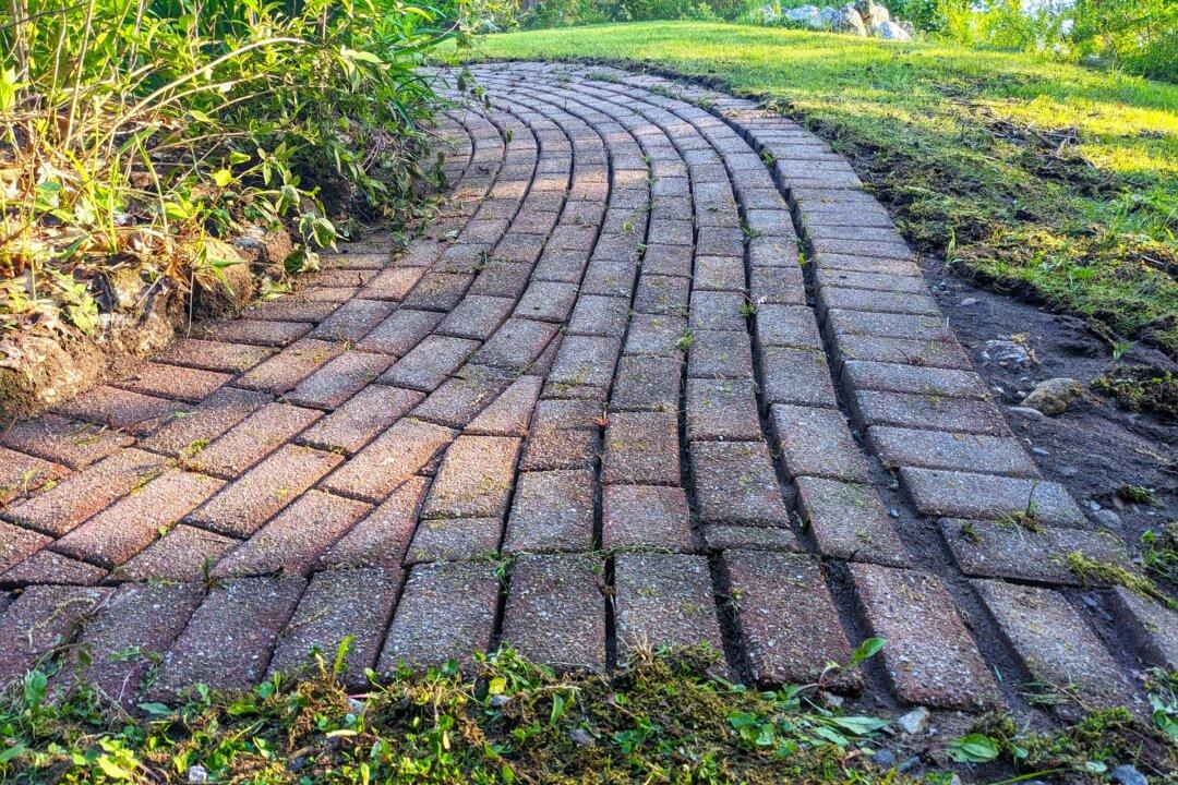 The Harsh Truth About Concrete Pavers