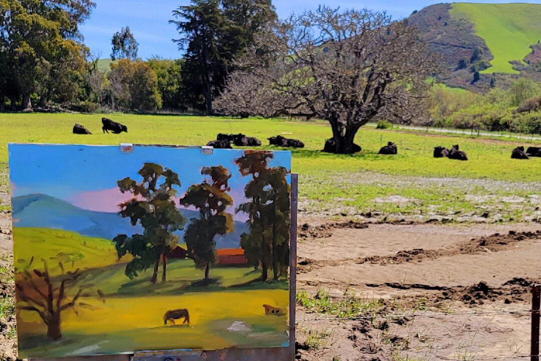 Destination: Cambria