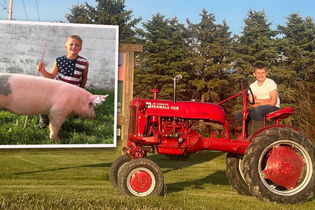 Boy, 10, Buys Antique Tractor With $2,800 Life Savings to Help Tend the 200-Acre Family Farm