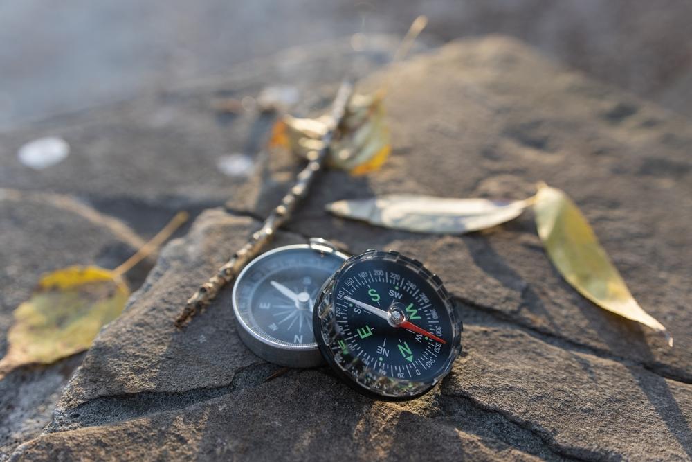 Without a Compass to Guide Them, Gen Z Wanders in the Wilderness