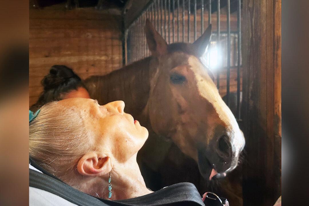 79-Year-Old Woman’s Dying Wish Fulfilled as Caregivers Bring Her to See Her Beloved Horse One Last Time
