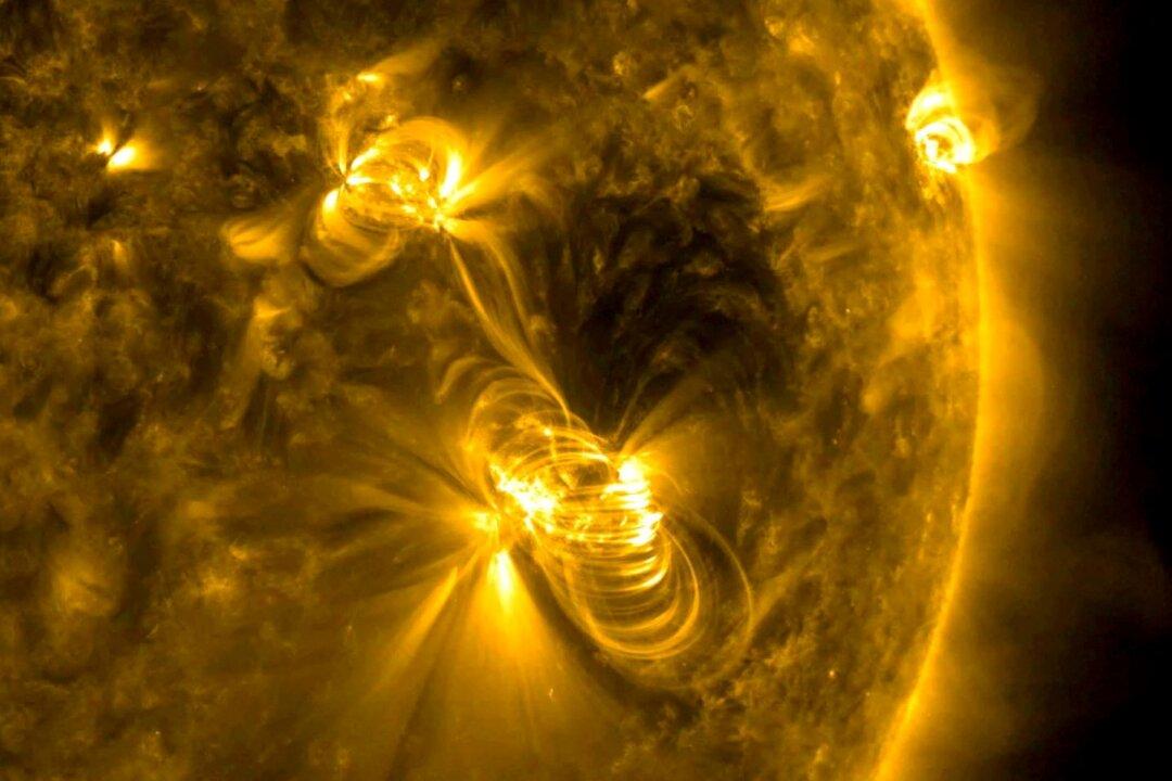Russian Scientists Warn of Powerful Solar Flare Activity on Monday