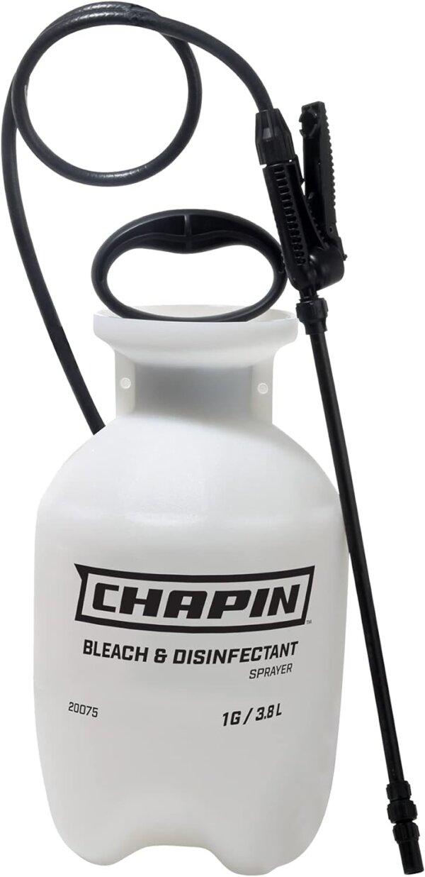 Chapin