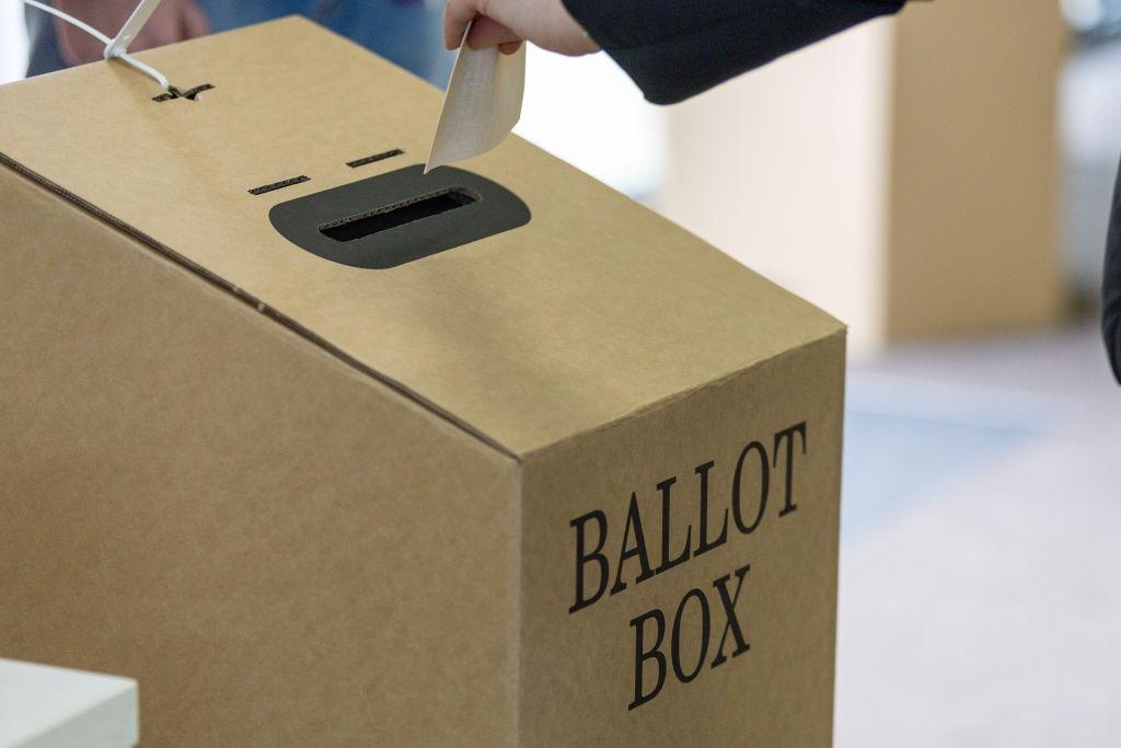 The Distrust of the Political Class